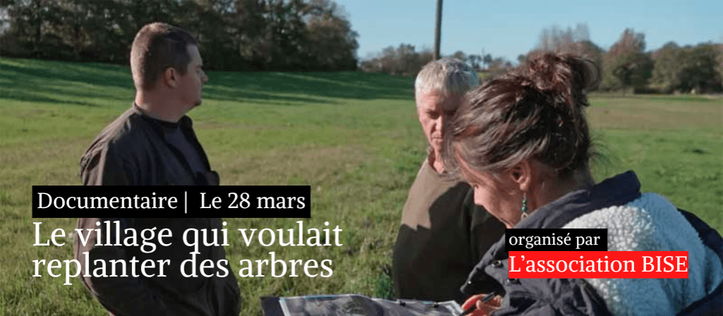 actualité arbres