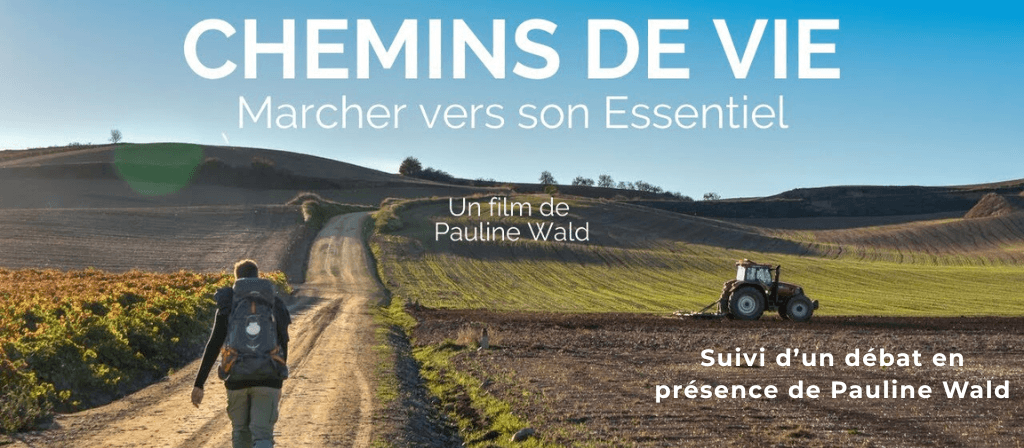 actualité compostelle